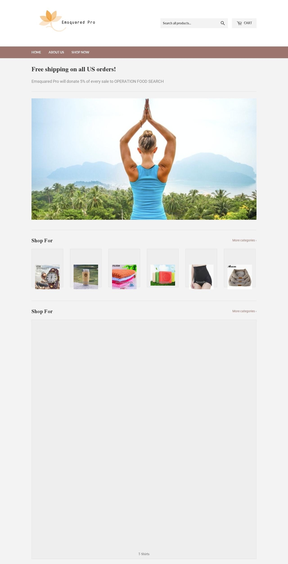 emsquaredpro.com — Shopify storefront screenshot