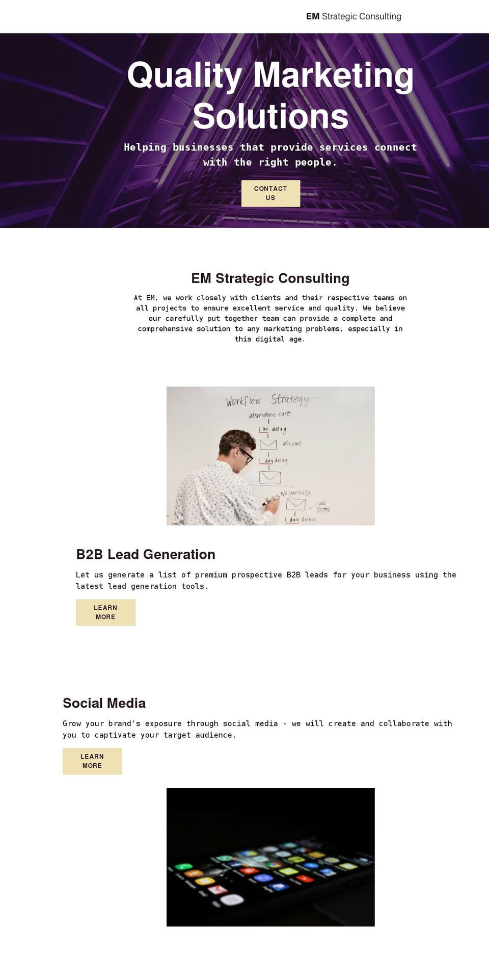 emstrategicconsulting.com shopify website screenshot