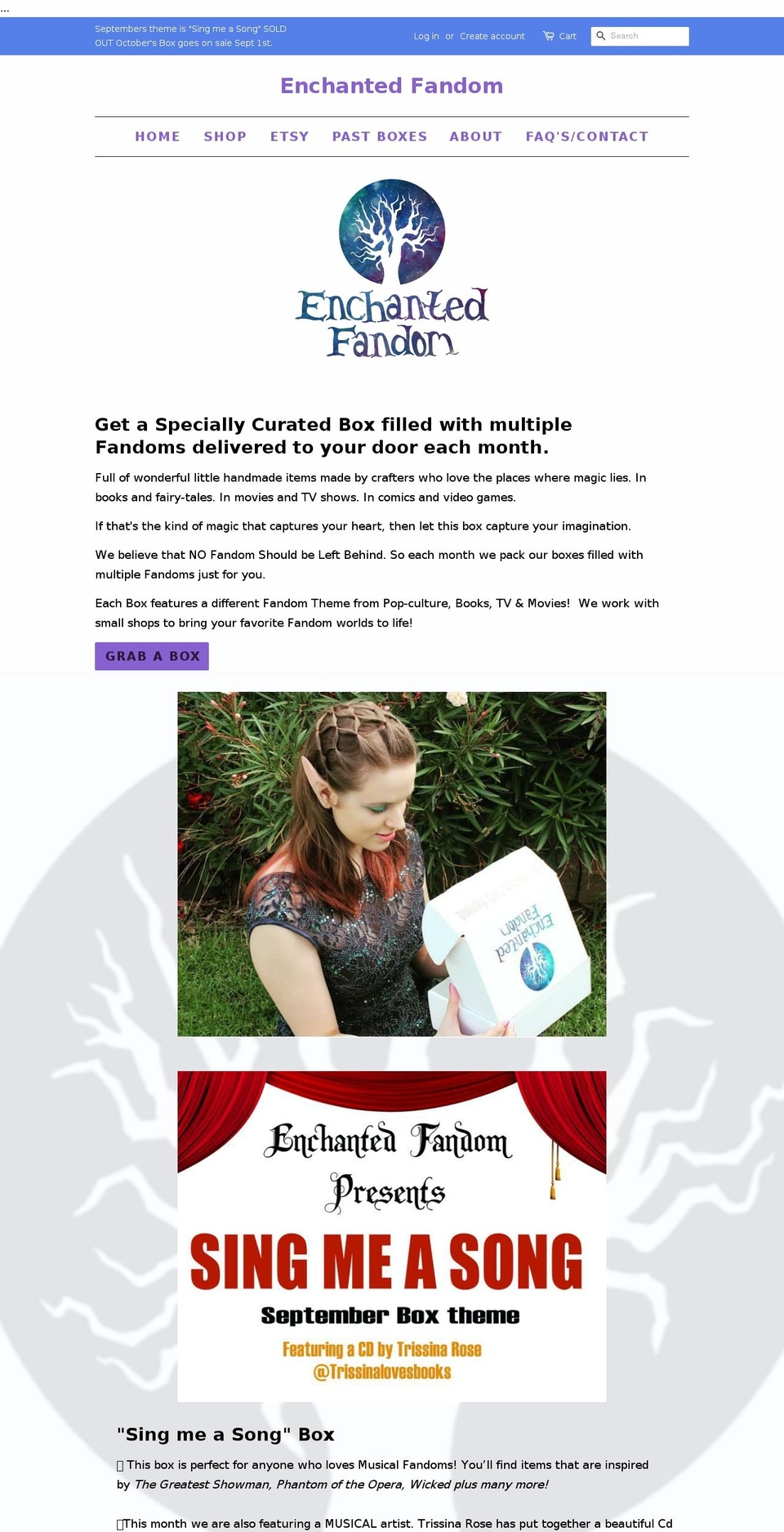 enchantedfandom.com shopify website screenshot
