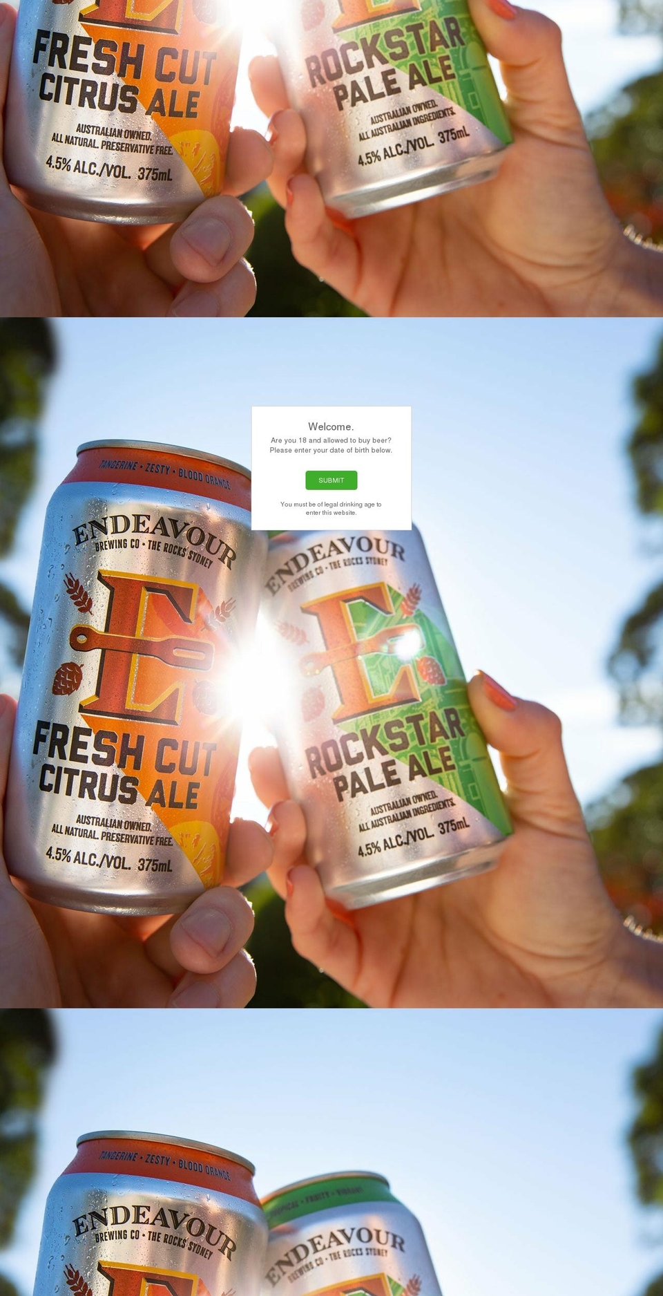 endeavourbeer.com shopify website screenshot