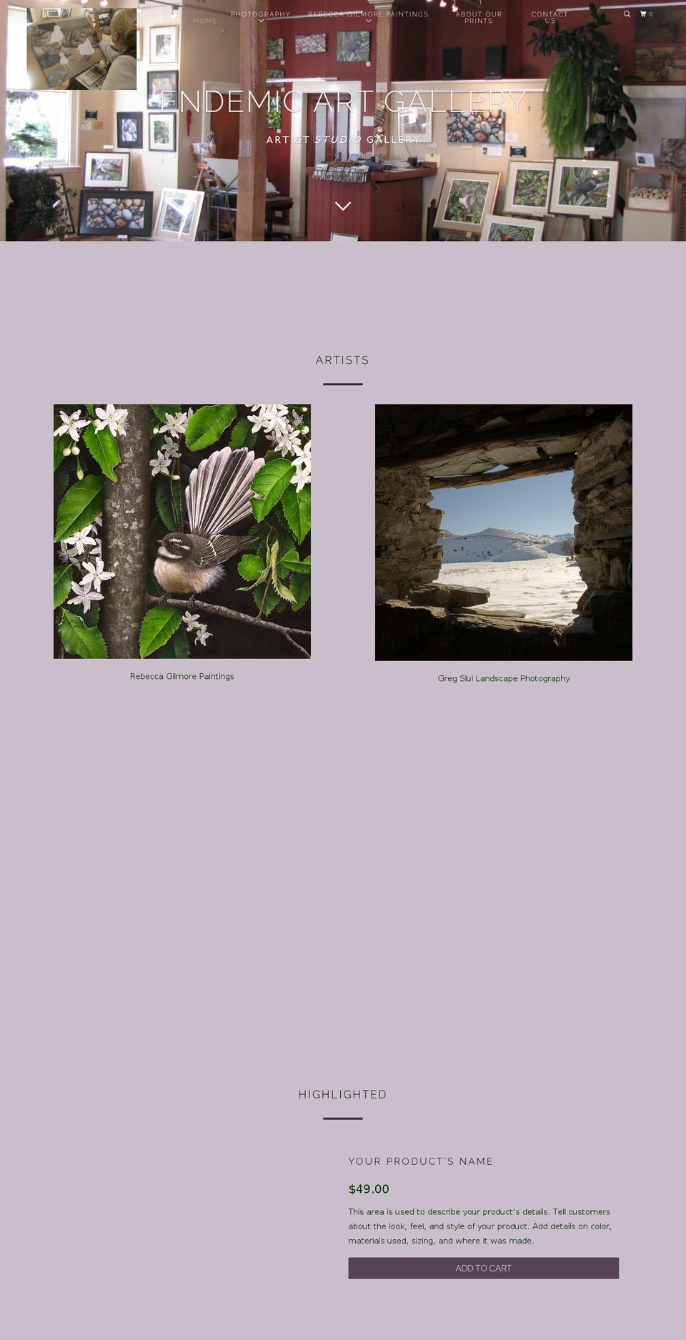 endemicgallery.com — Shopify storefront screenshot