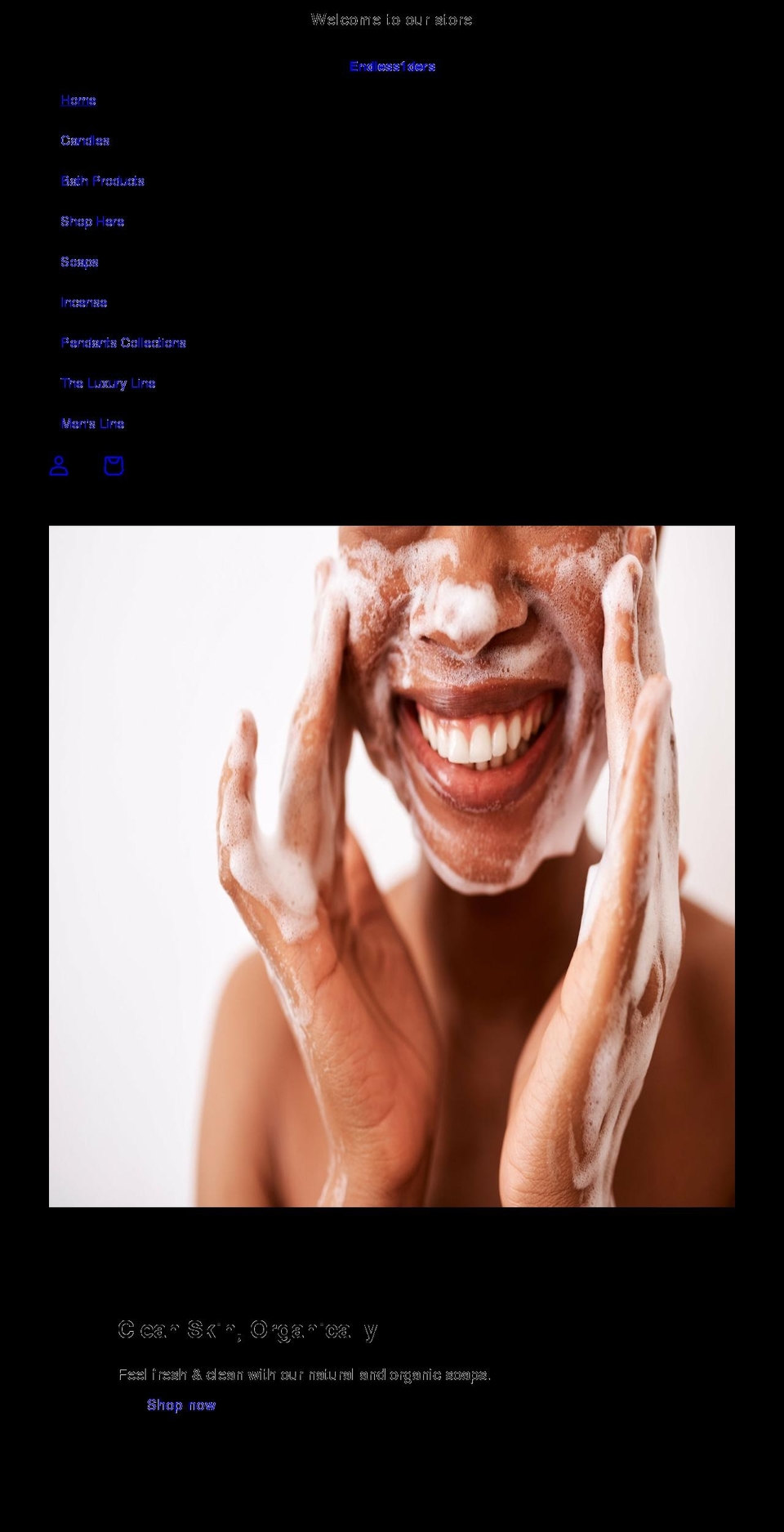 endless1ders.com shopify website screenshot