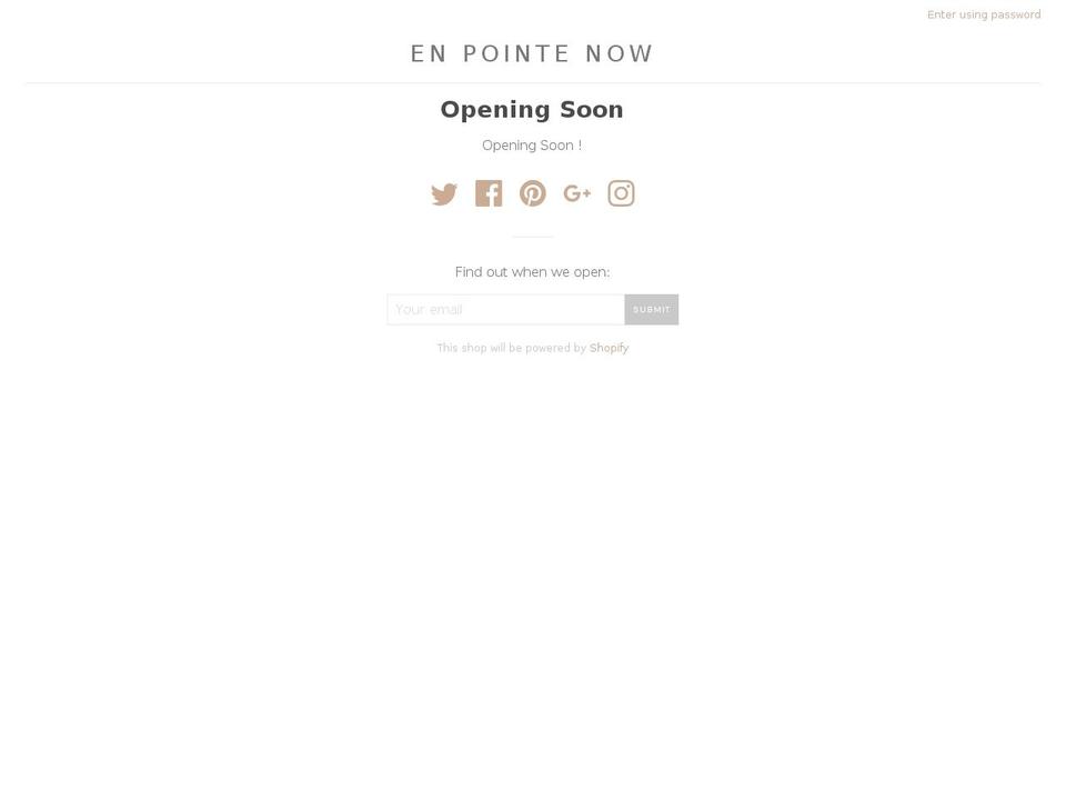 enpointenow.com shopify website screenshot