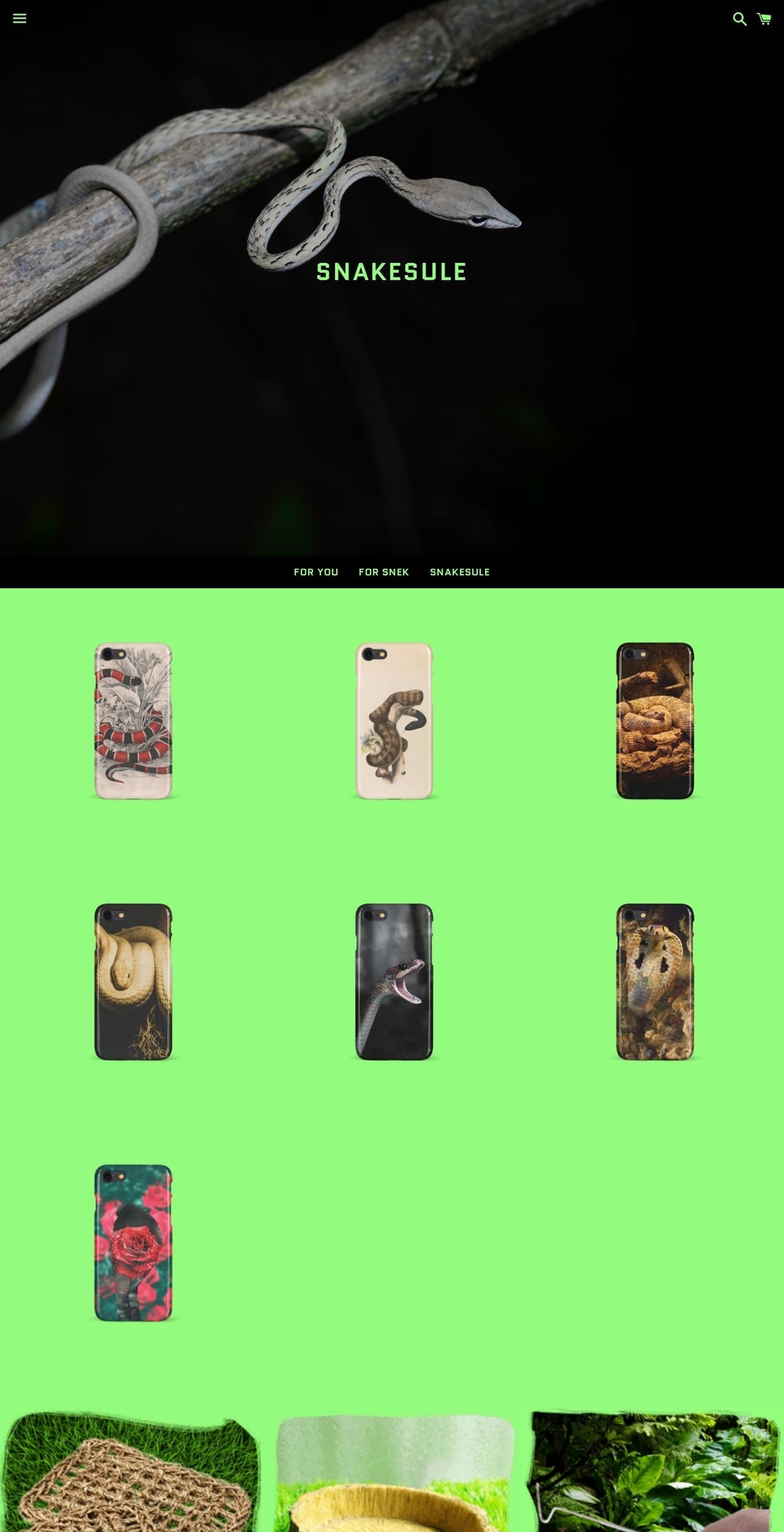 entrepreneur-focus.com — Shopify storefront screenshot
