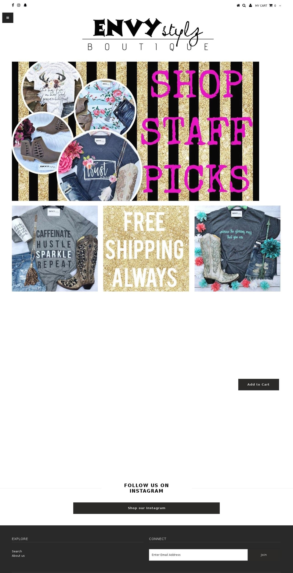 envystylz.com shopify website screenshot