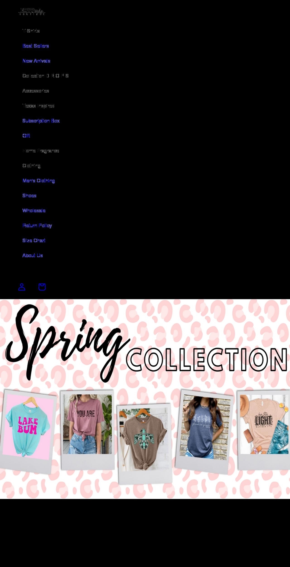 envystylzboutique.com — Shopify storefront screenshot