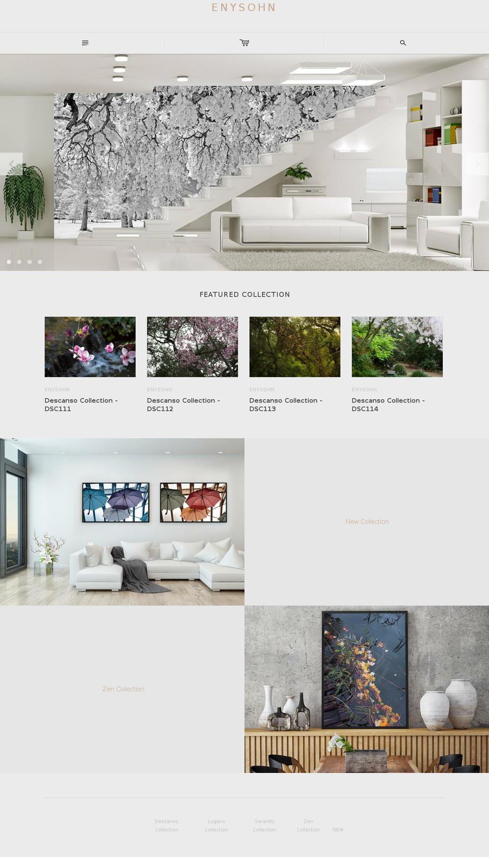 enysohn.com — Shopify storefront screenshot