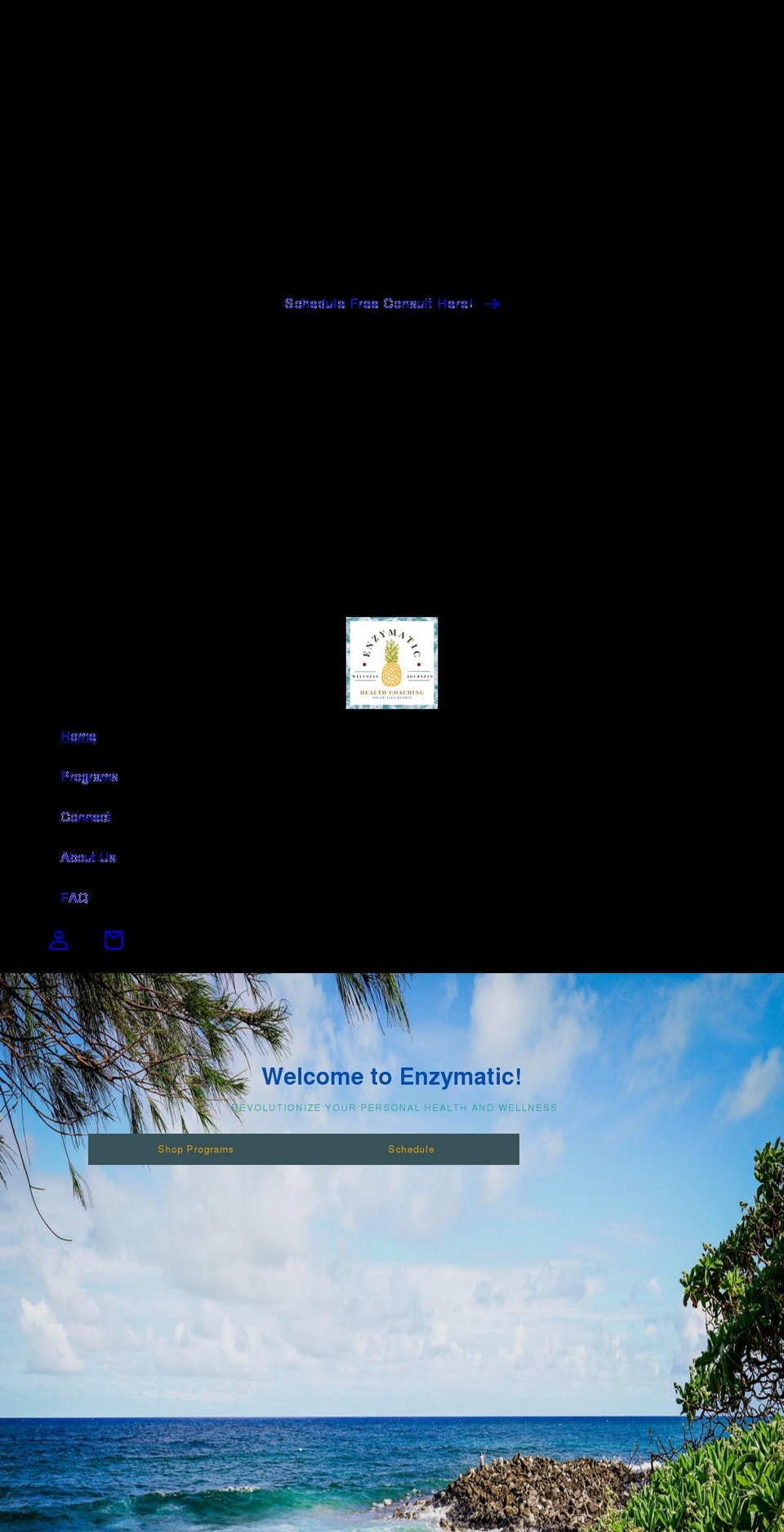 enzymatic.us shopify website screenshot