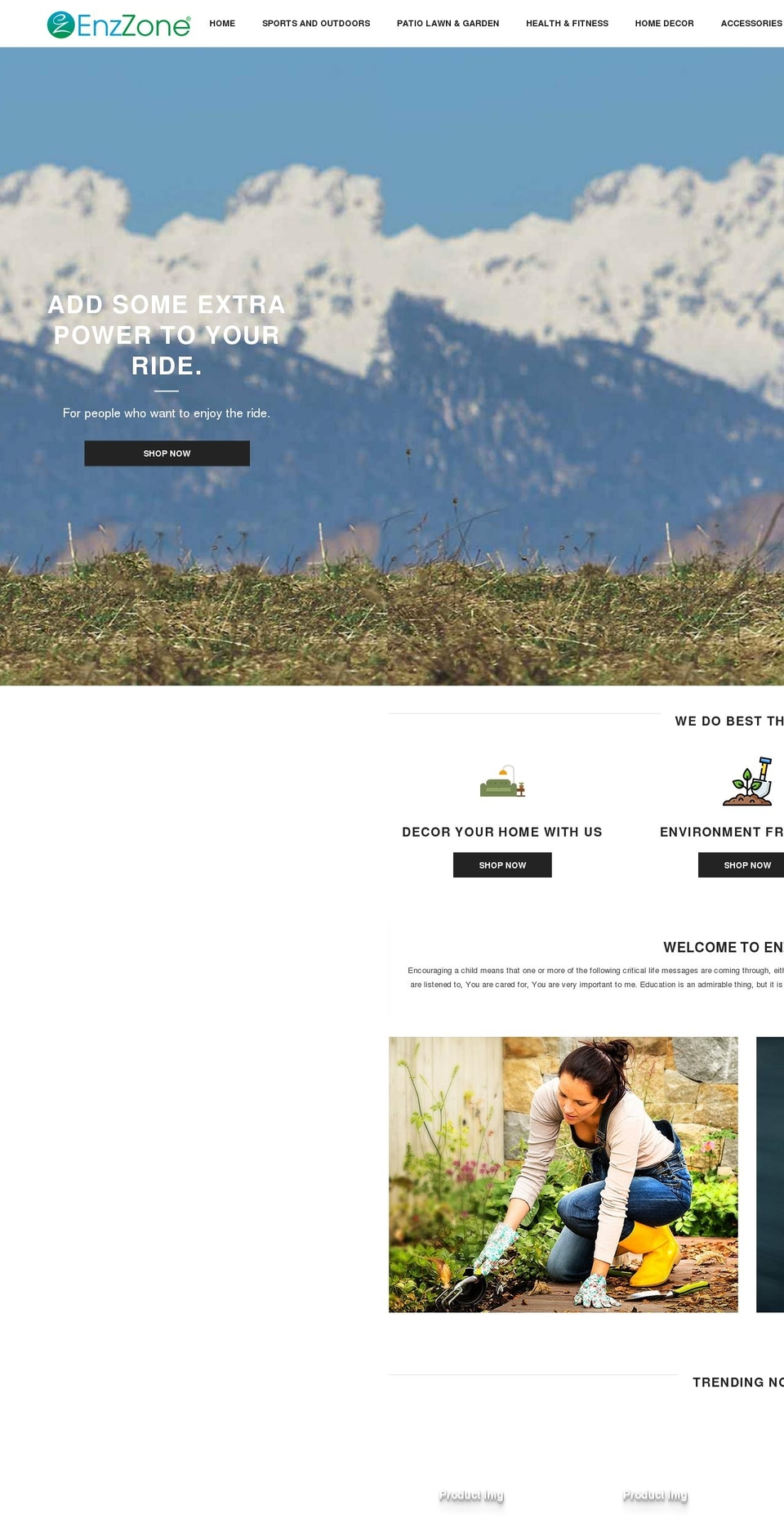 enzzone.com shopify website screenshot