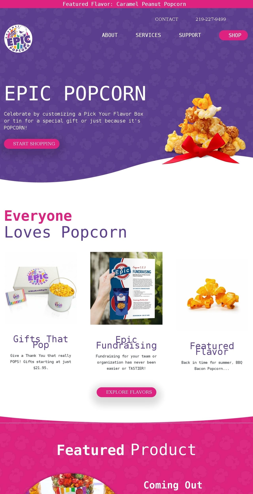 epicgourmetpopcorn.com — Shopify storefront screenshot