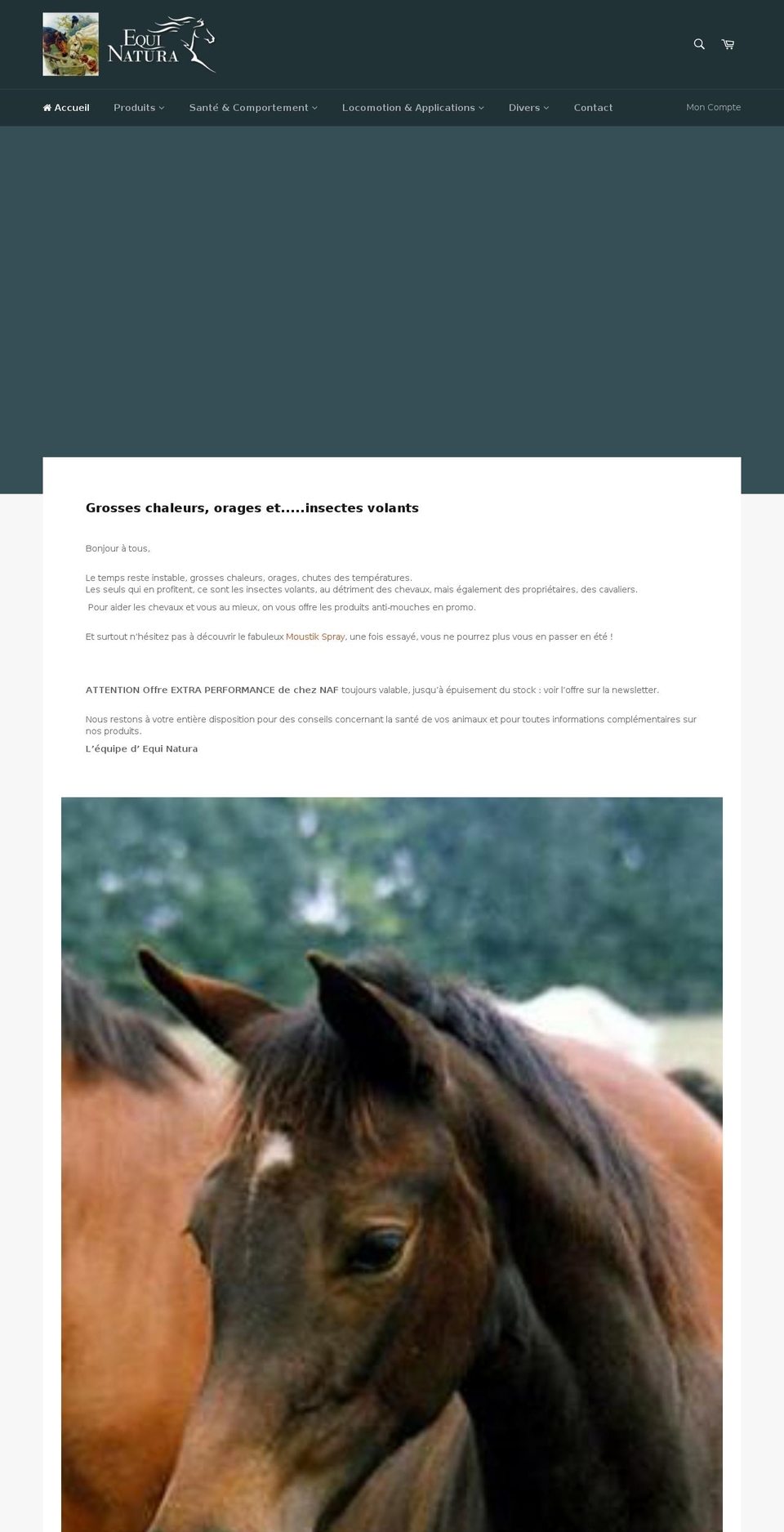 equinatura.com shopify website screenshot