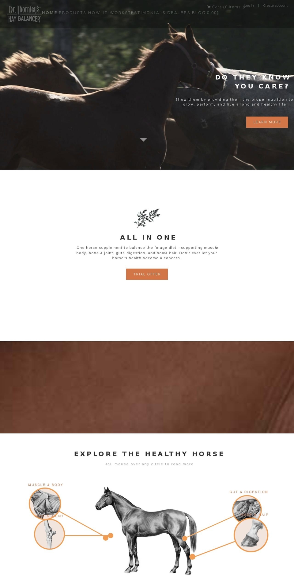 Dr-thornleys-hay-balancer - W\/ Bold RO Shopify theme site example equinehs.com