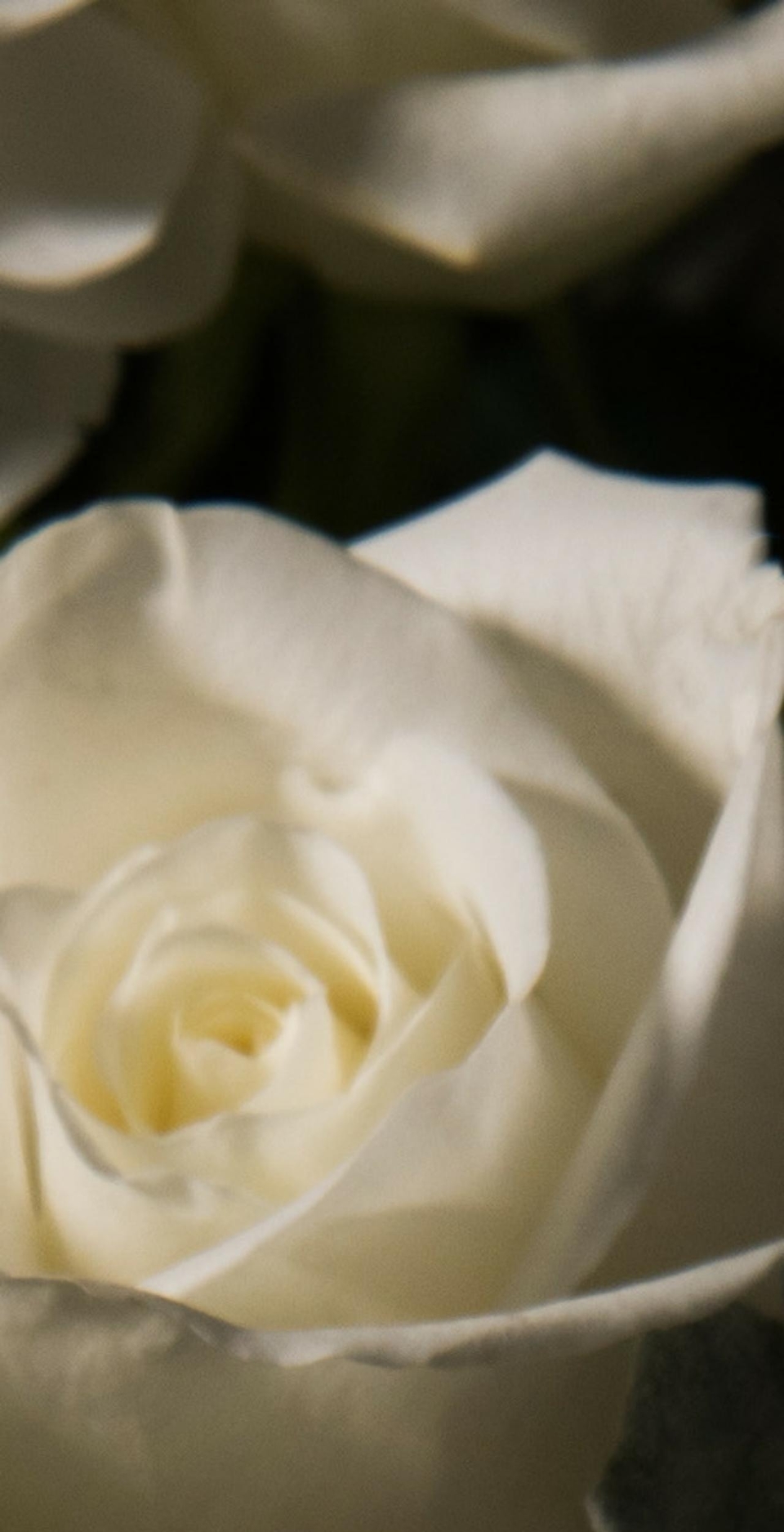 ericbuterbaugh.com shopify website screenshot