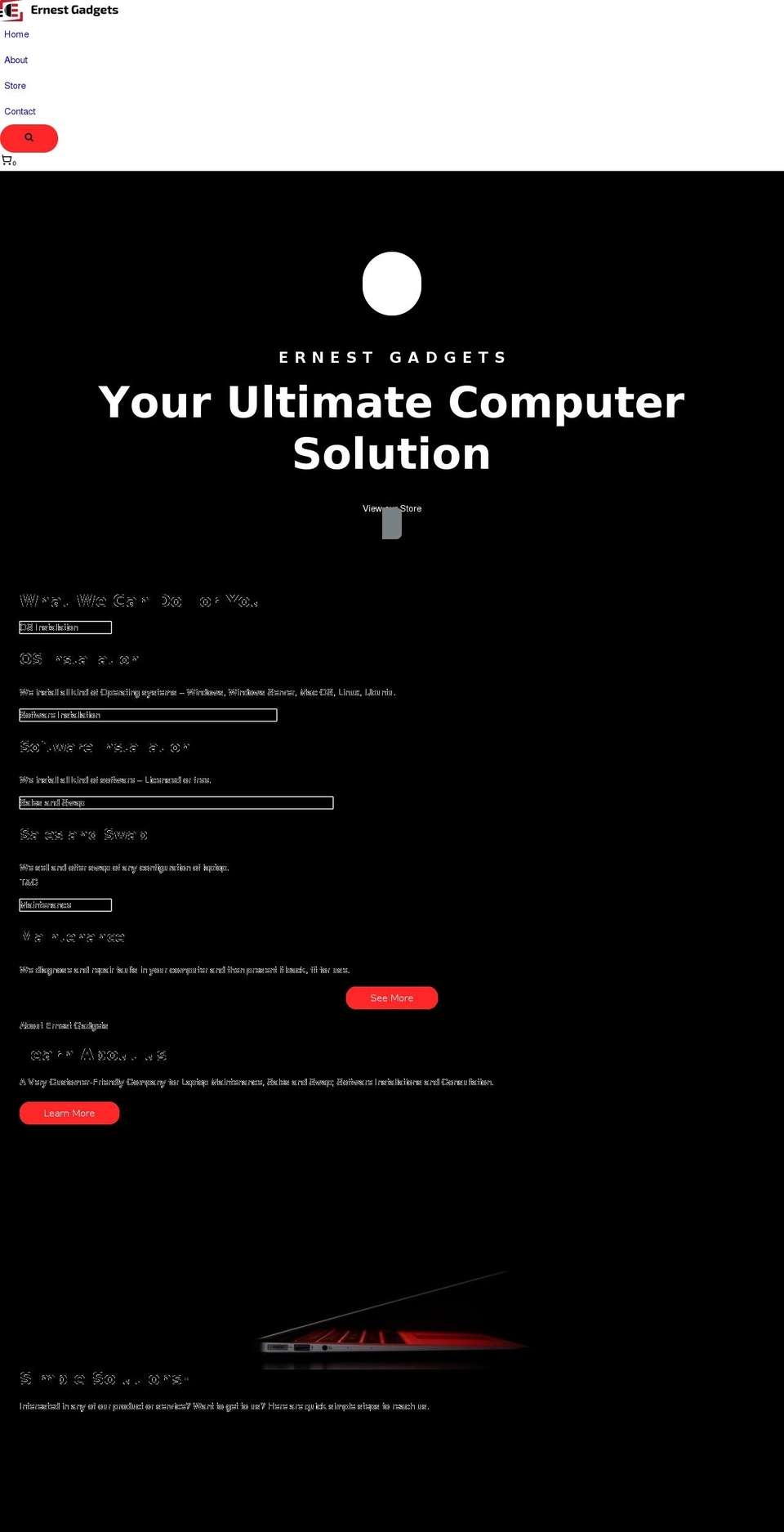 ernestgadgets.com — Shopify storefront screenshot