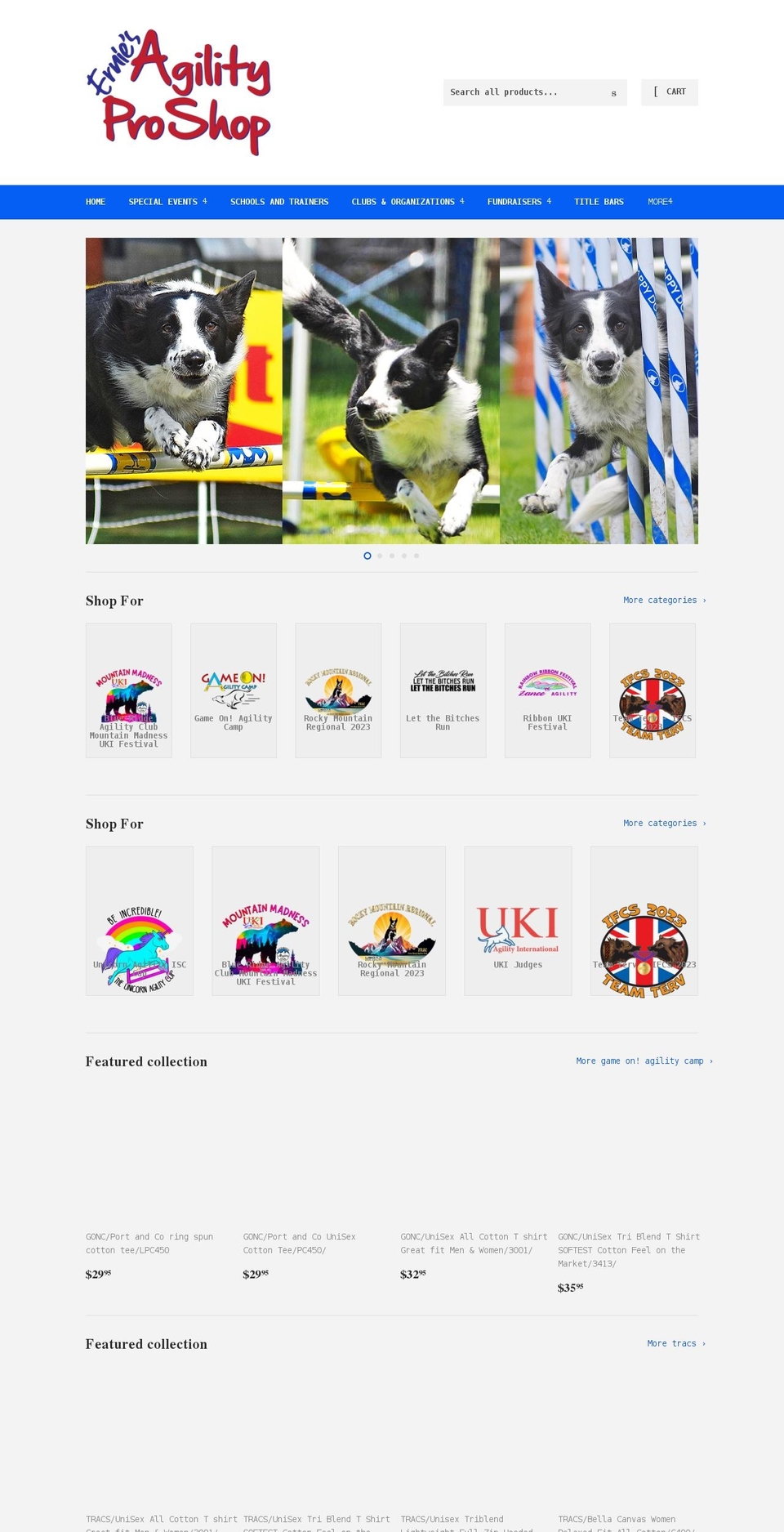 erniesagilityproshop.com shopify website screenshot