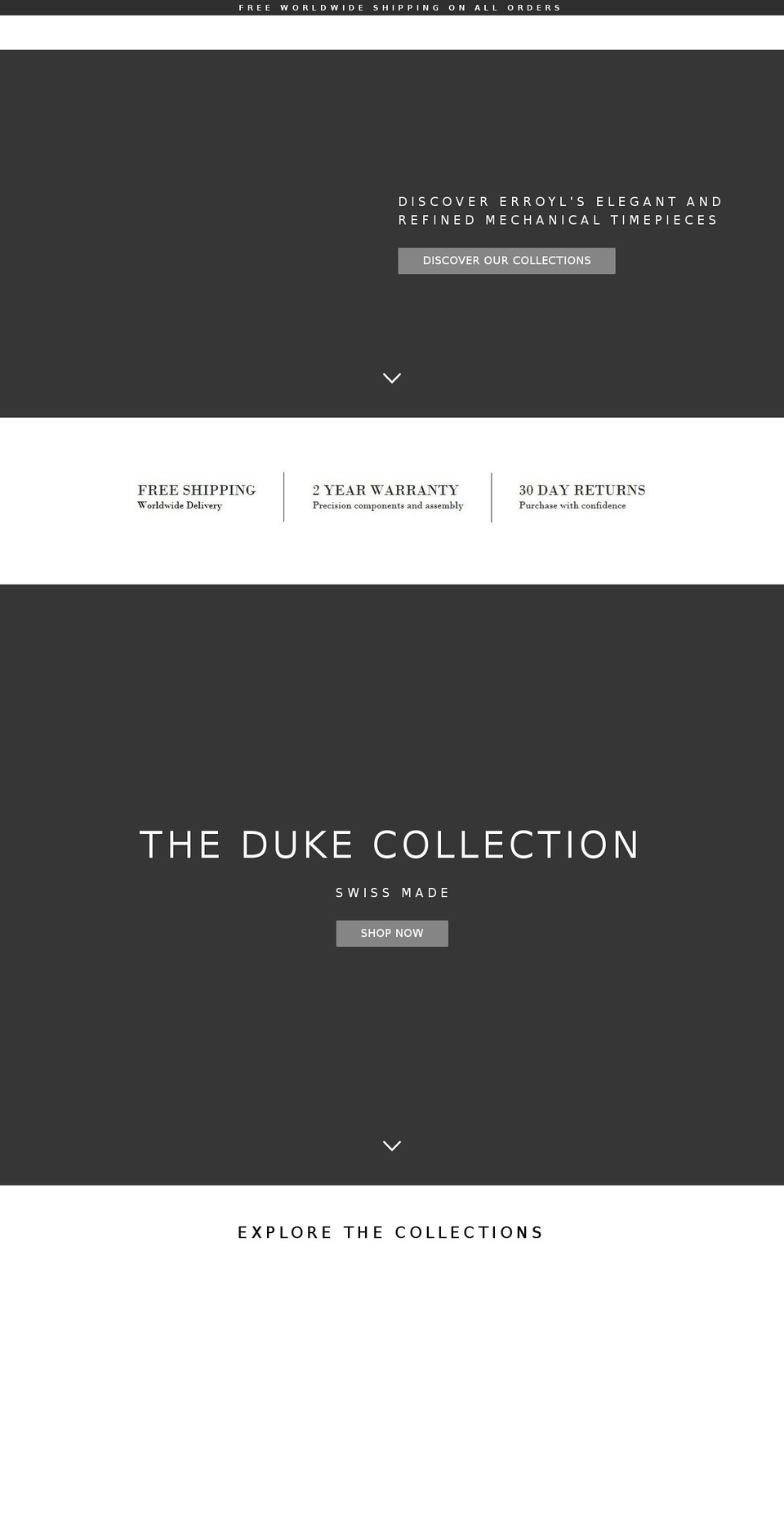 erroylwatchcompany.com — Shopify storefront screenshot
