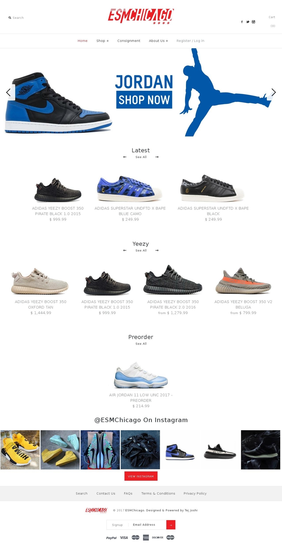 esmchicago.com shopify website screenshot