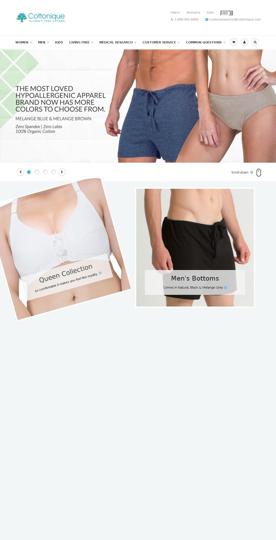 essentiallayer.com — Shopify storefront screenshot