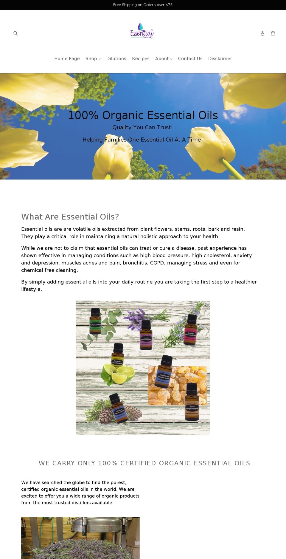 essentialserenityoils.com shopify website screenshot