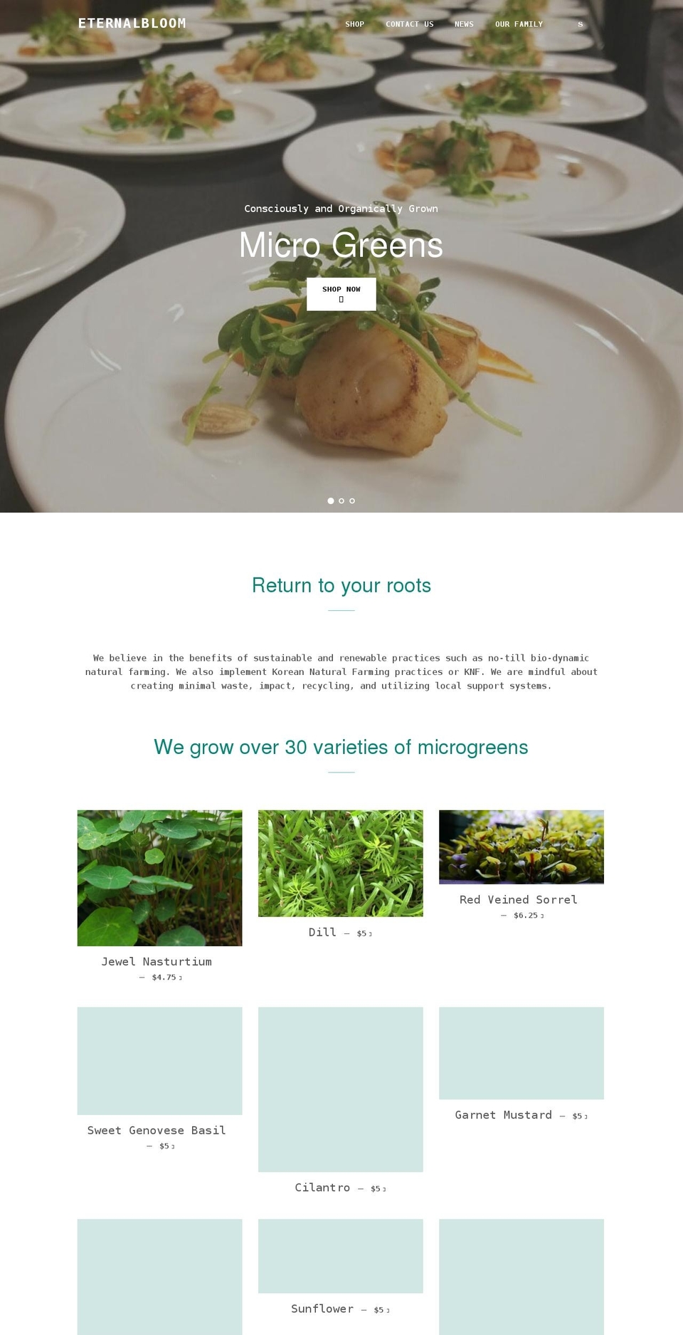 eternalbloom.org shopify website screenshot