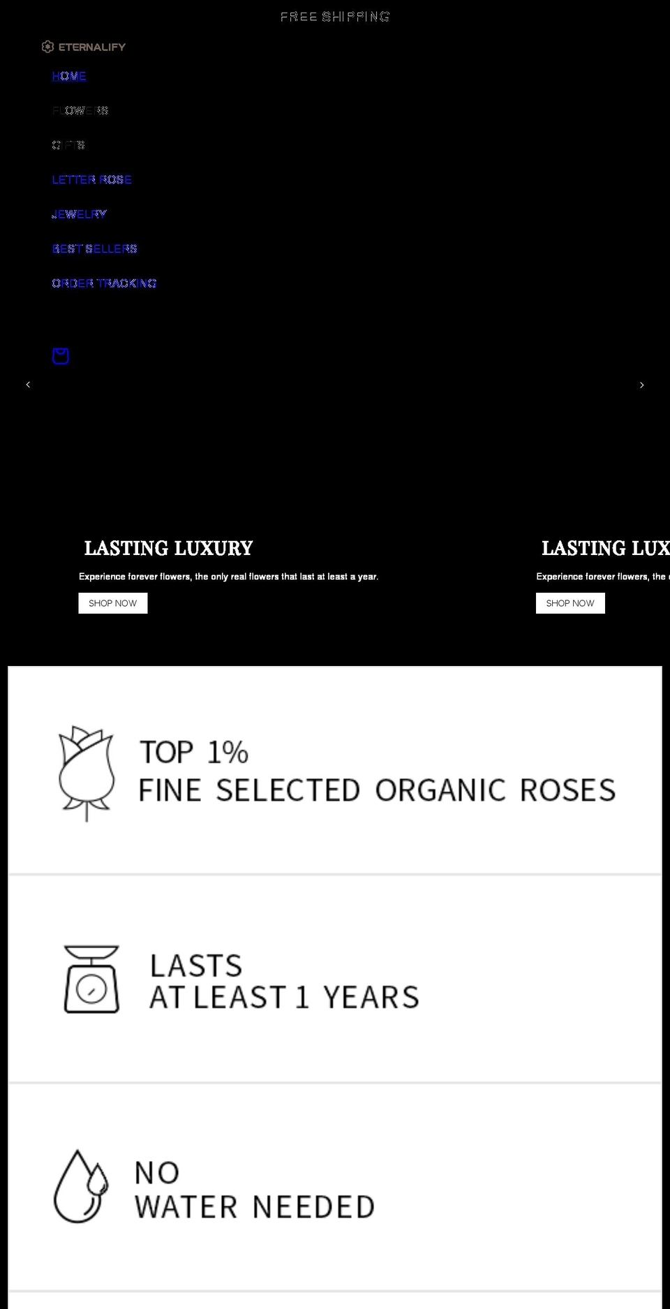 eternalify.com shopify website screenshot