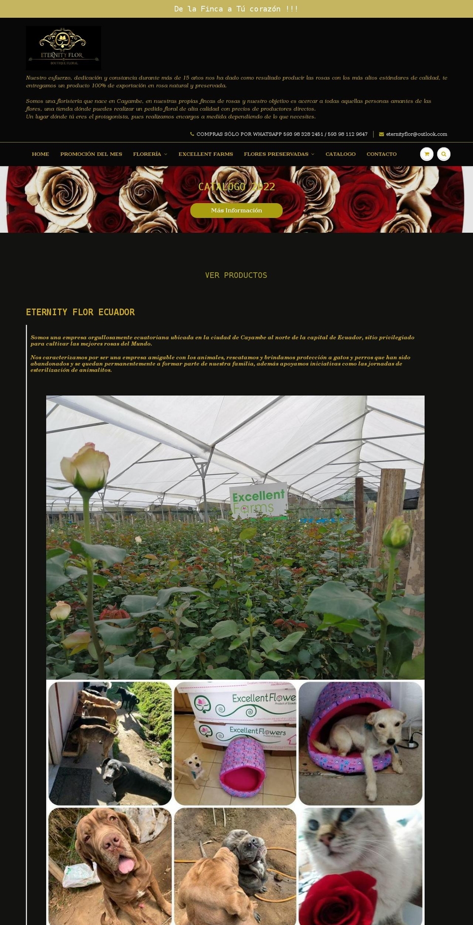 eternityflor.com shopify website screenshot