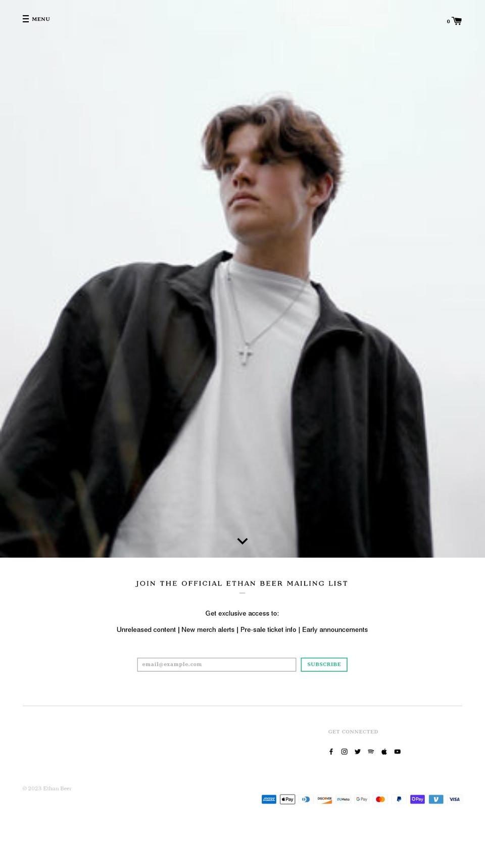 ethanbeer.com shopify website screenshot