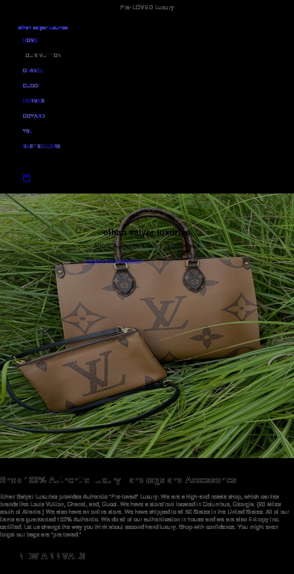 ethansalyerluxuries.com shopify website screenshot