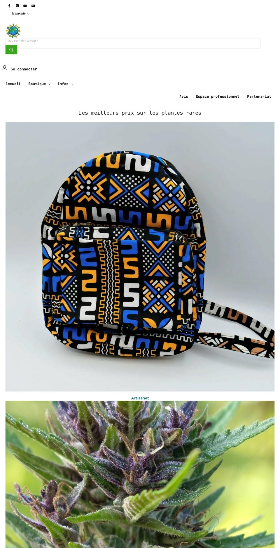 ethnoparadise.com shopify website screenshot
