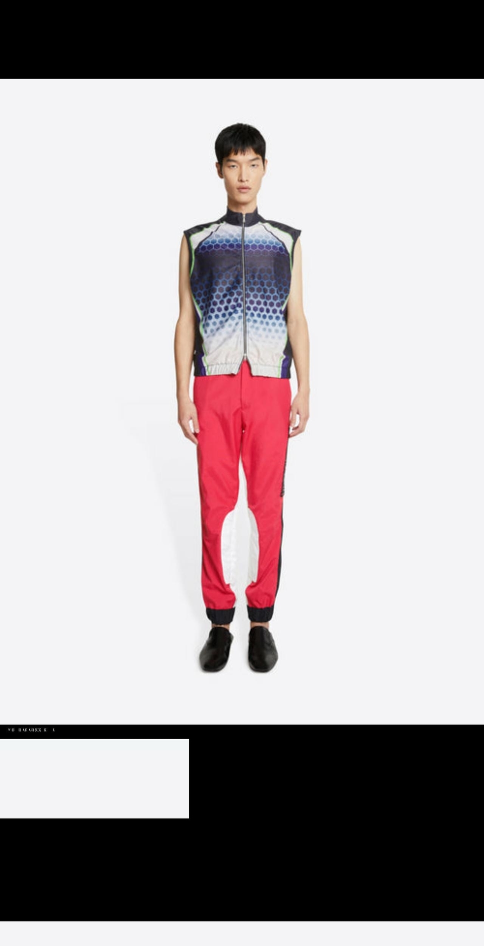 eu.driesvannoten.com shopify website screenshot