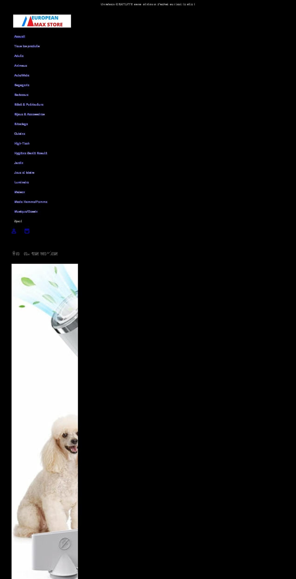european-max-store.com shopify website screenshot