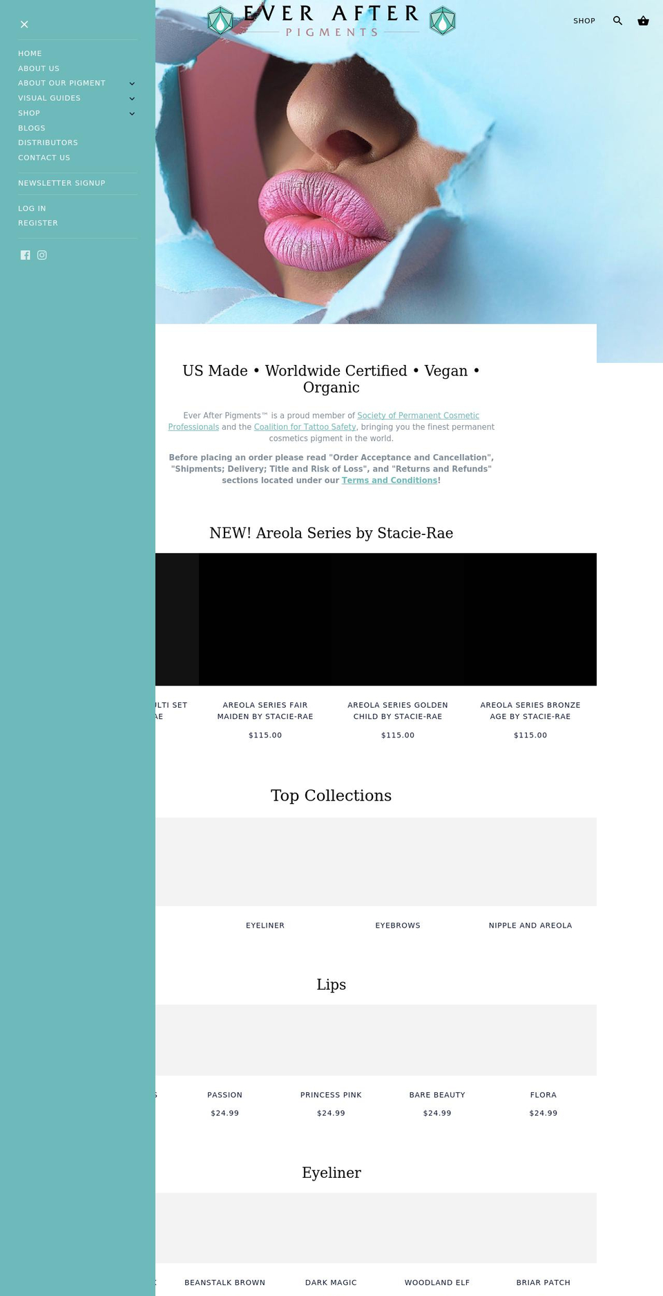 everafterpigments.com shopify website screenshot