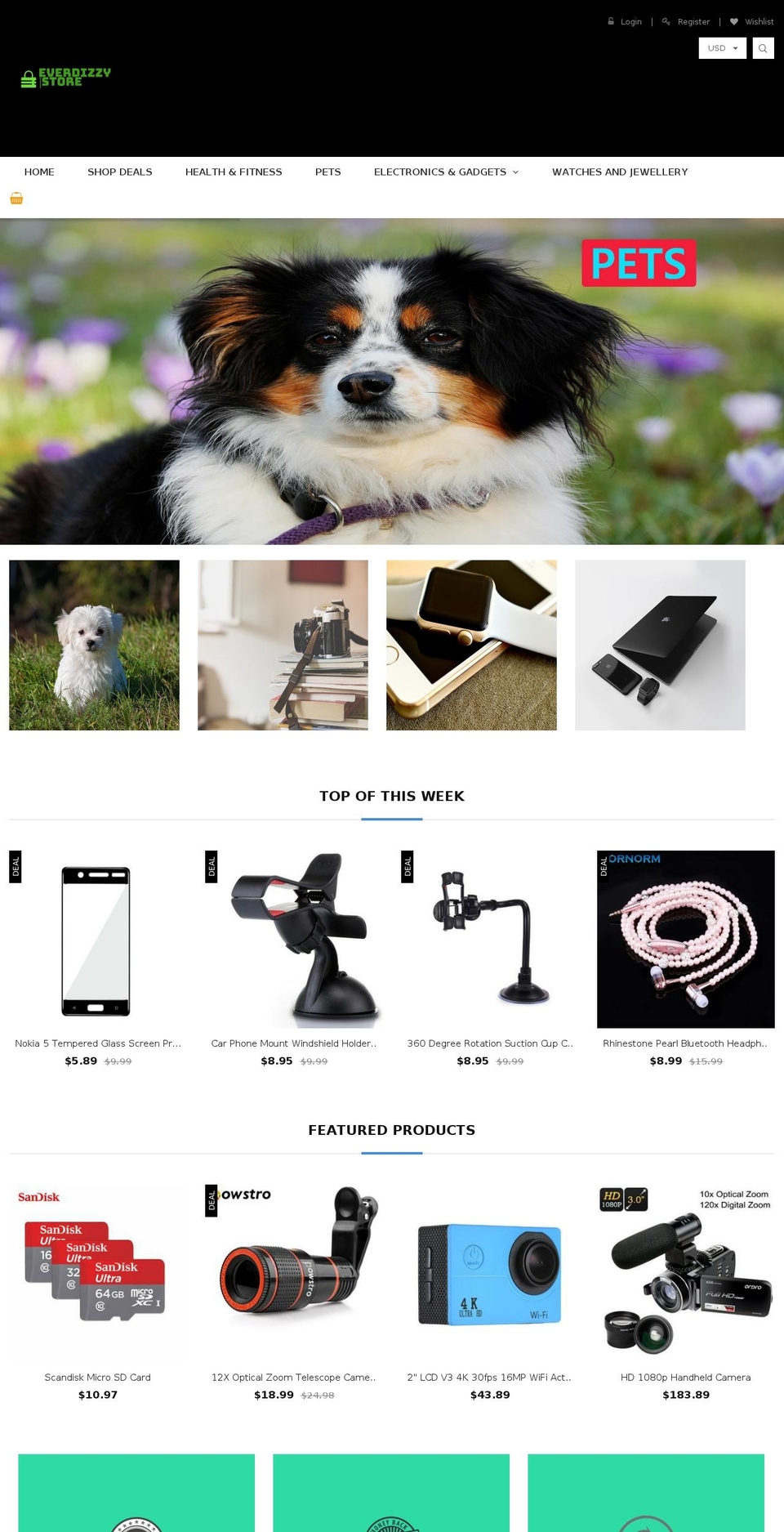 everdizzystore.com — Shopify storefront screenshot
