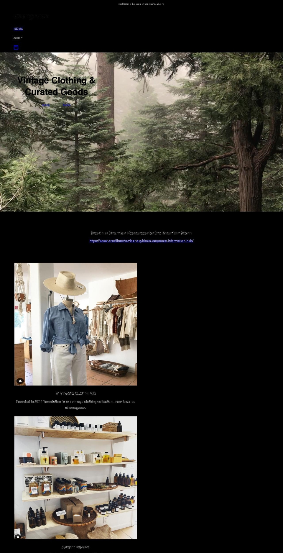 evergreencuratedgoods.com shopify website screenshot