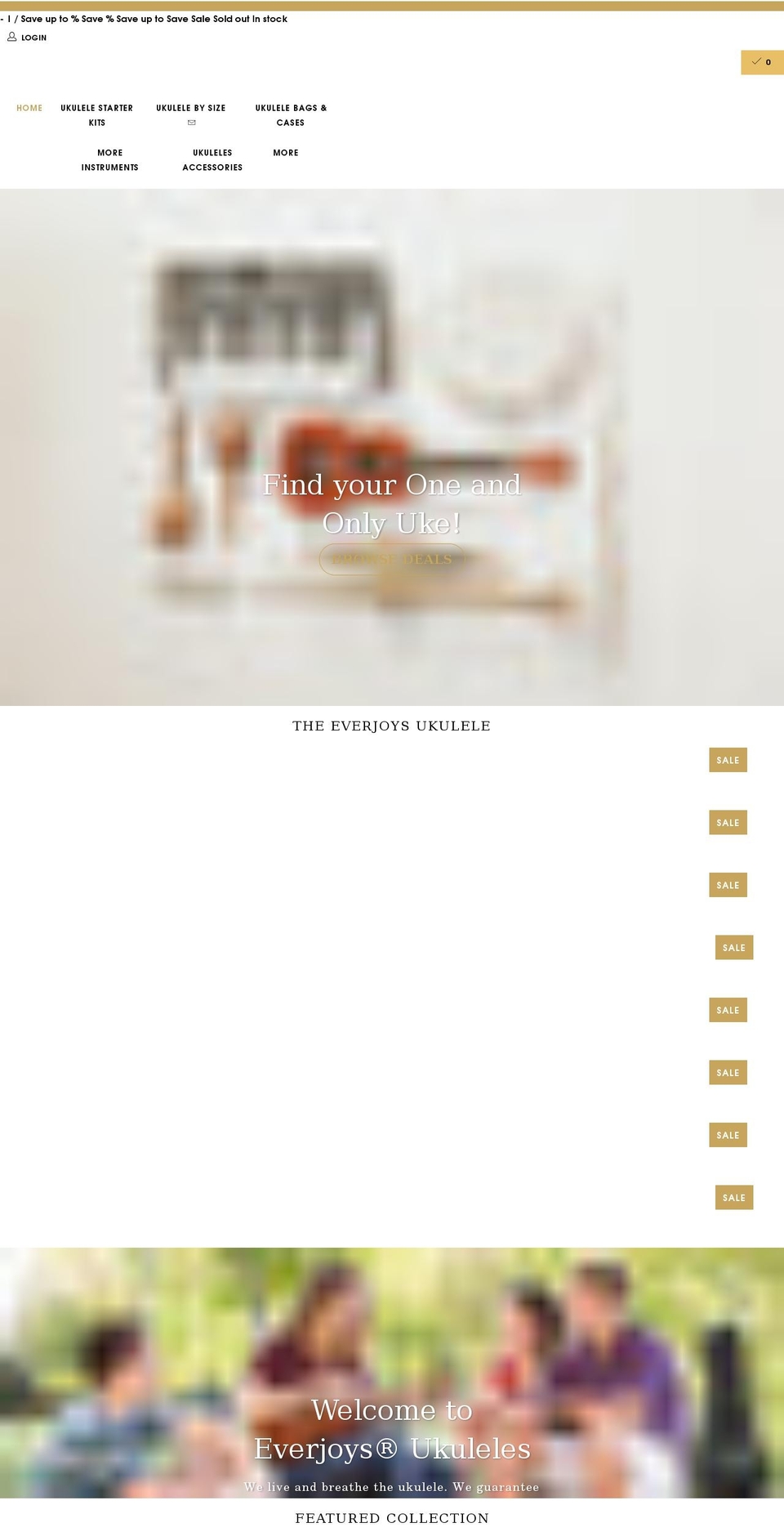 everjoyspro.com shopify website screenshot