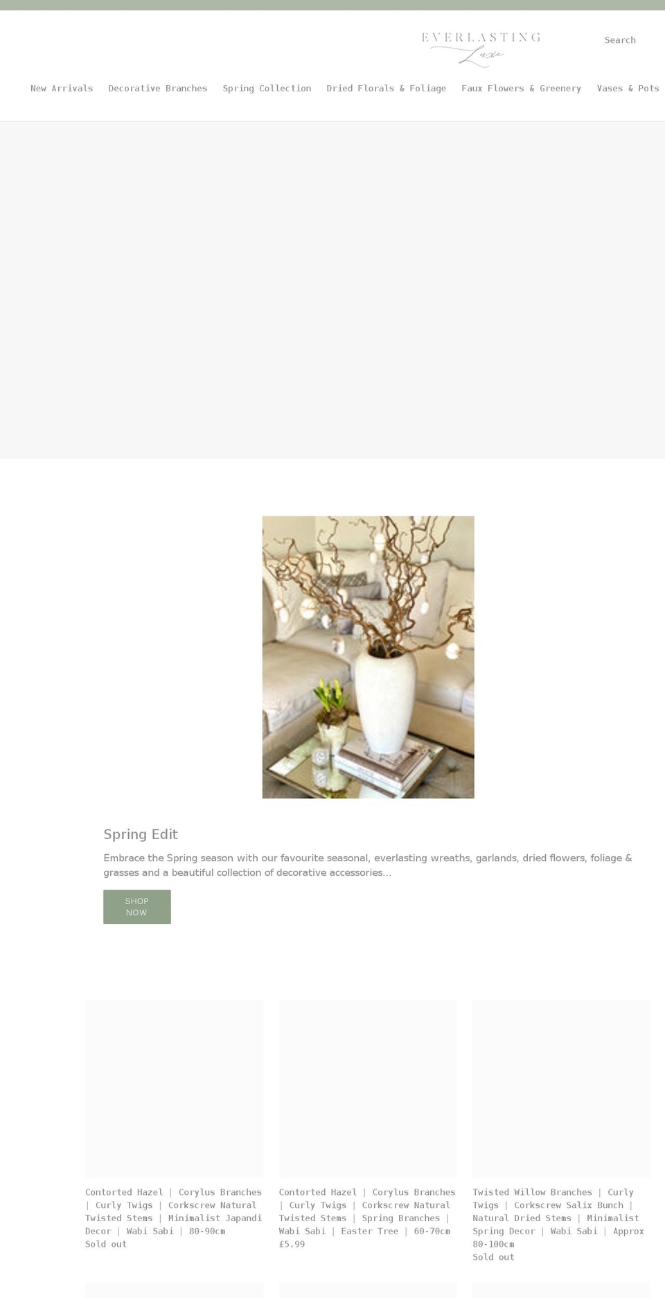 everlastingluxe.com shopify website screenshot