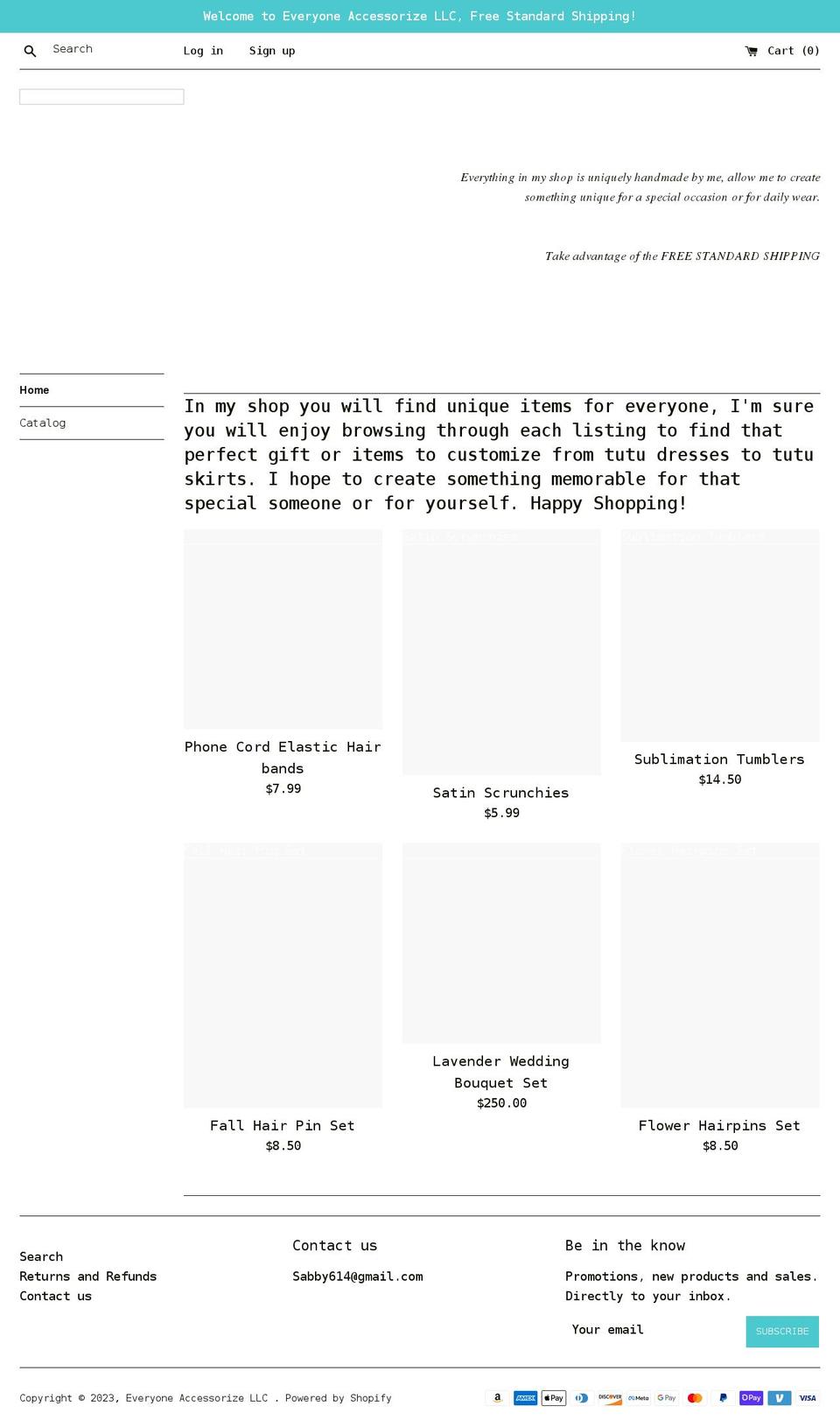 everyoneaccessorizellc.com shopify website screenshot