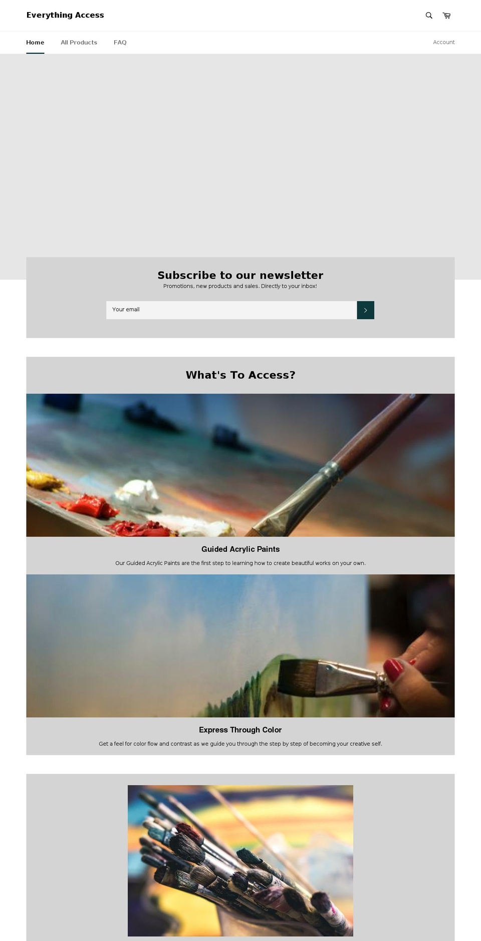 everythingaccessus.com — Shopify storefront screenshot