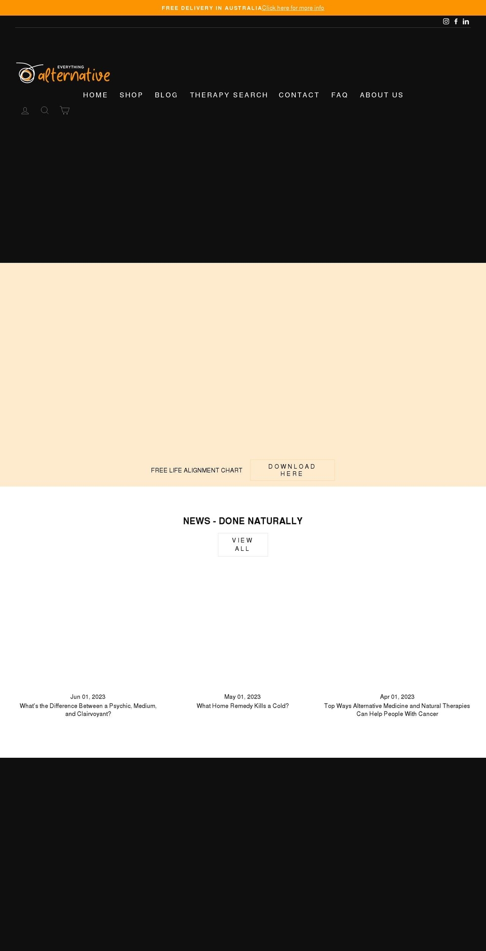 everythingalternative.com shopify website screenshot