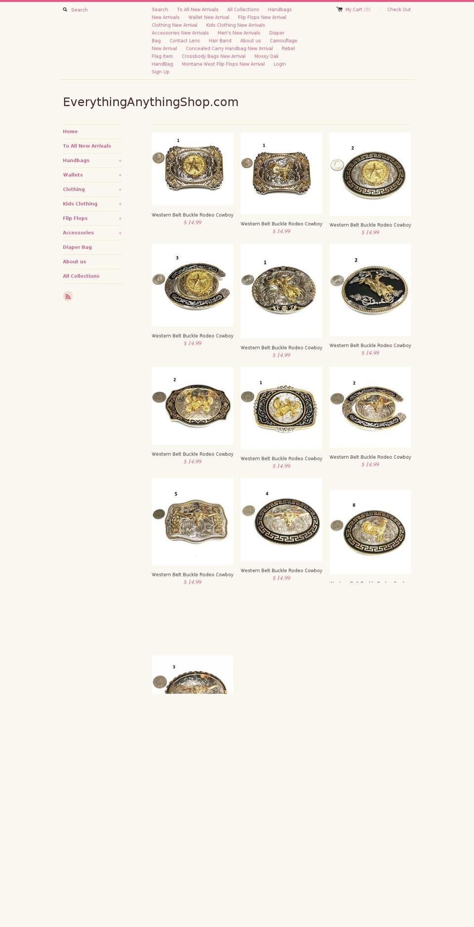 everythinganythingshop.com — Shopify storefront screenshot