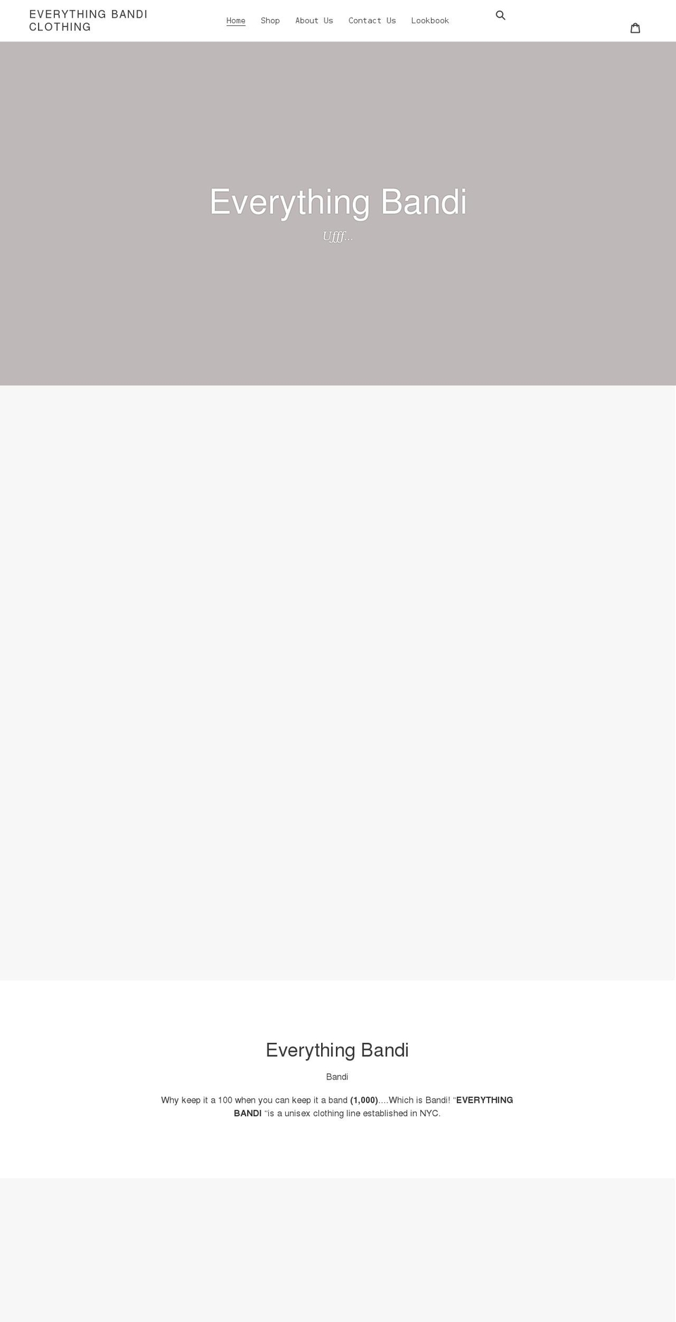 everythingbandi.com shopify website screenshot