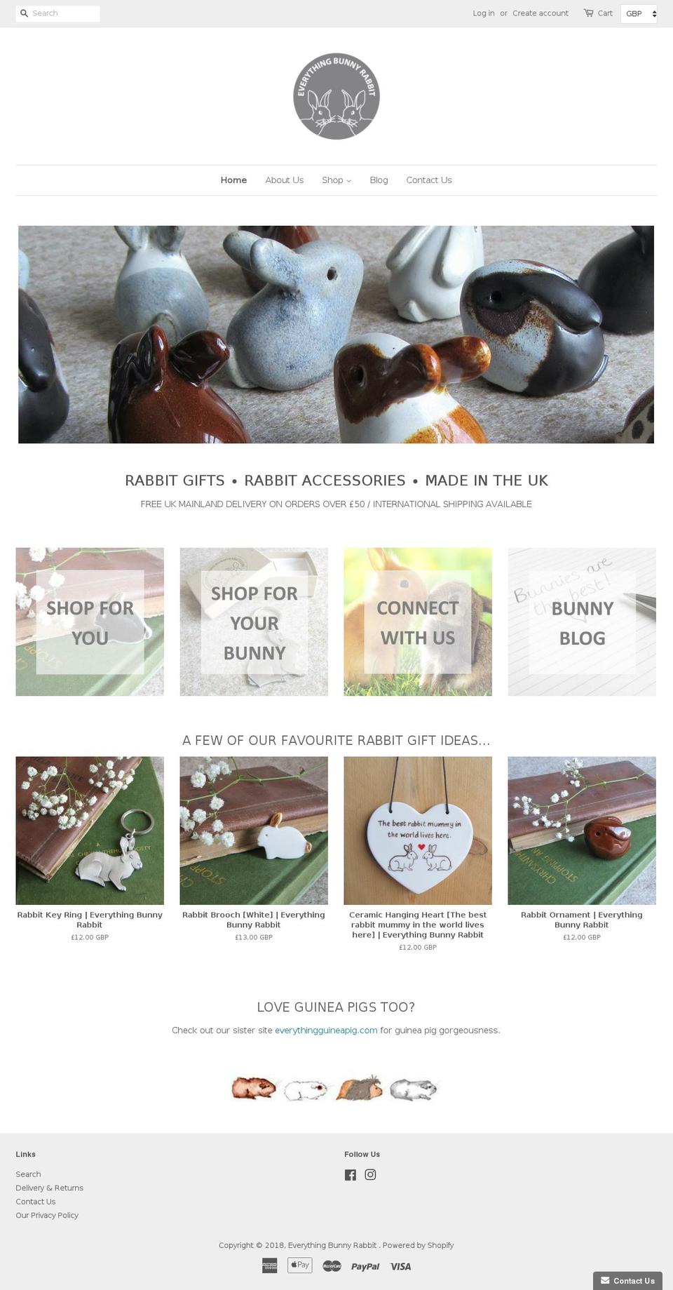 everythingbunnyrabbit.com — Shopify storefront screenshot