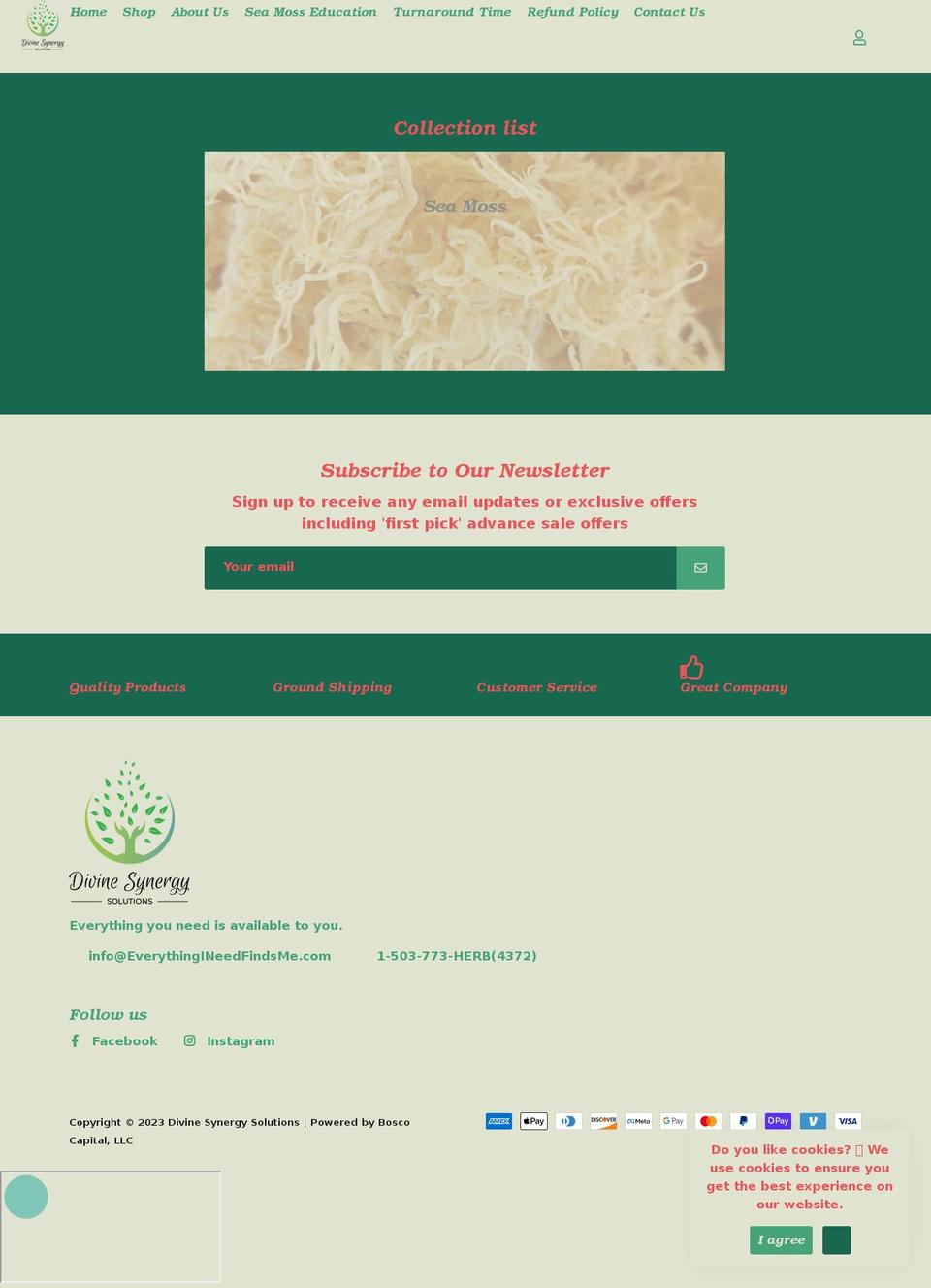 everythingineedfindsme.com shopify website screenshot