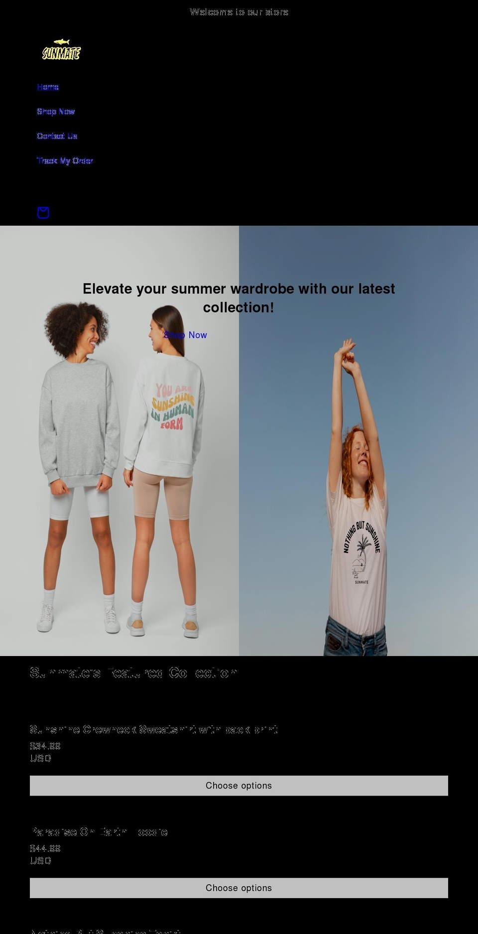 everythingprofessional.com shopify website screenshot