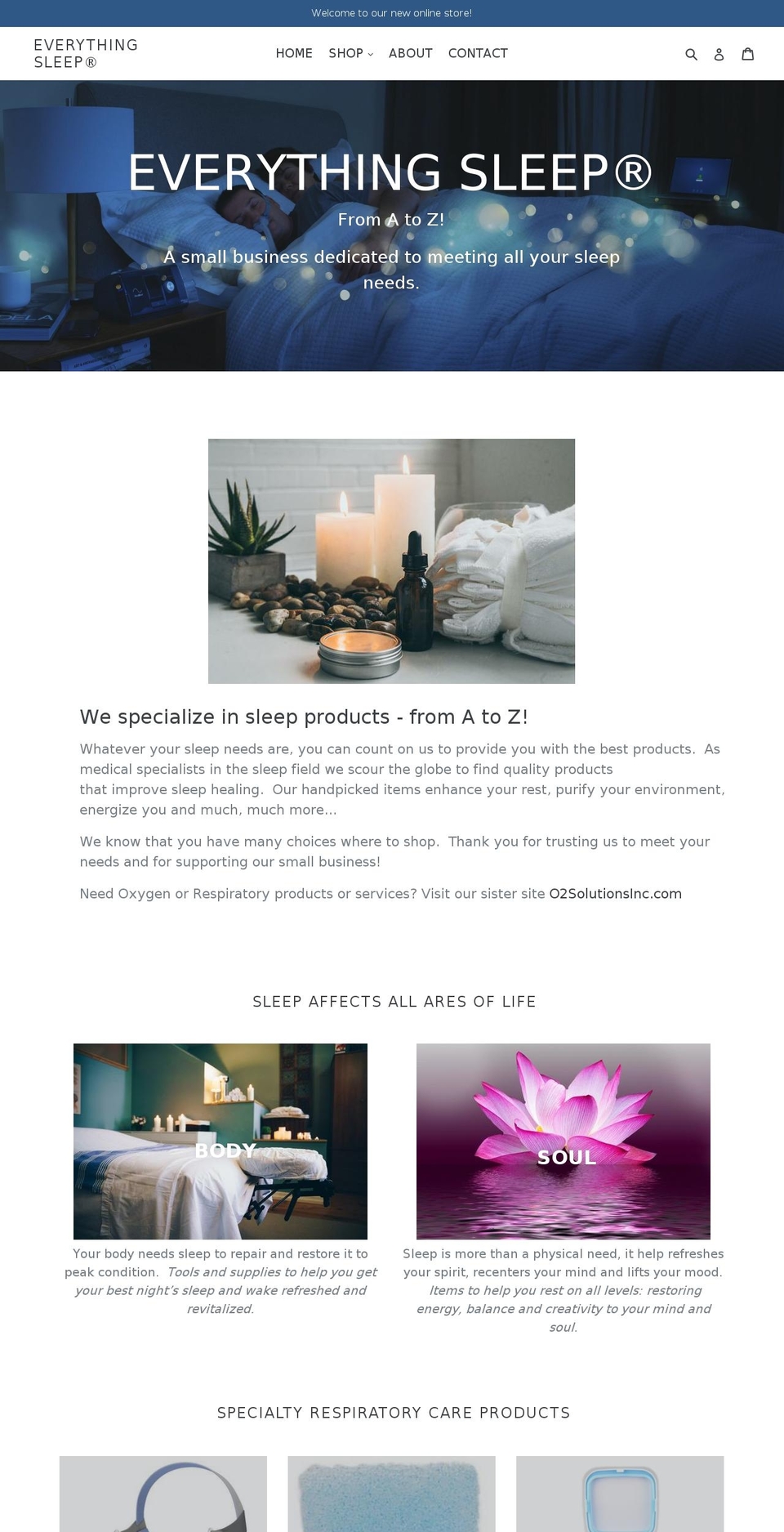 everythingsleeponline.com shopify website screenshot