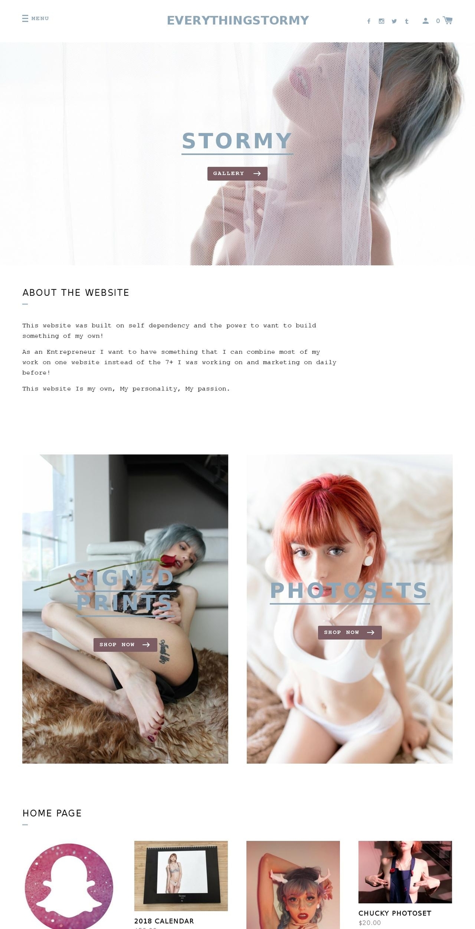 everythingstormy.net shopify website screenshot