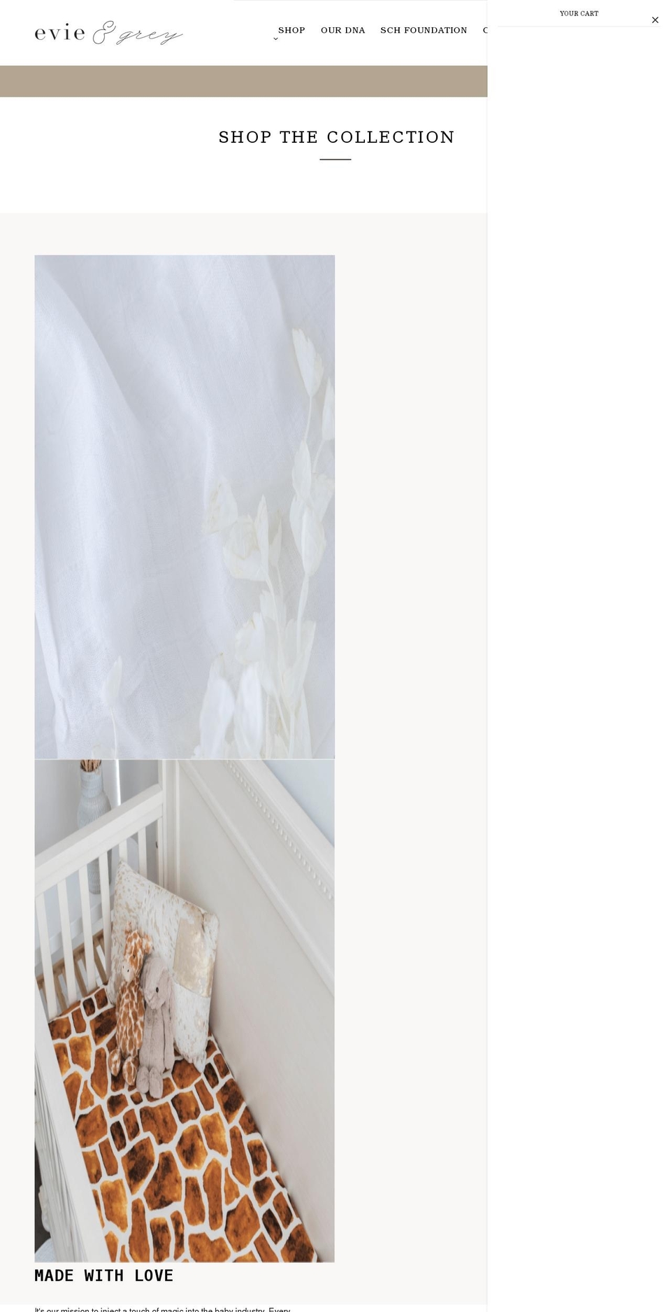 evieandgrey.com shopify website screenshot