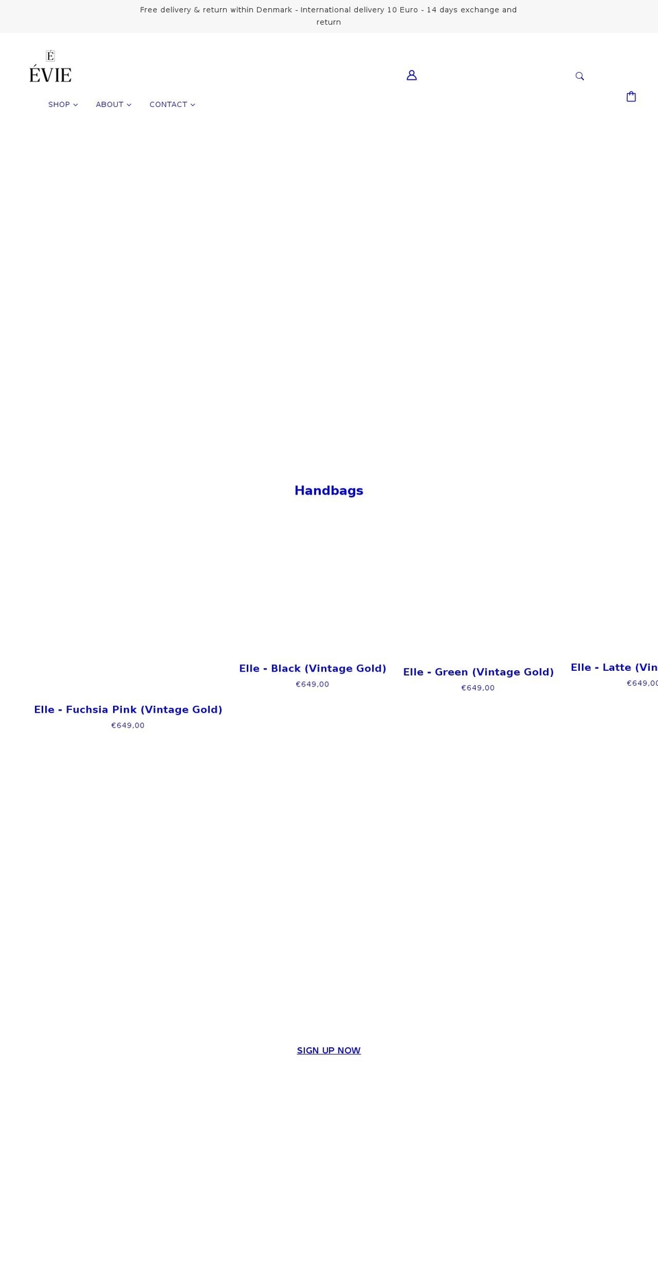 eviestore.com shopify website screenshot