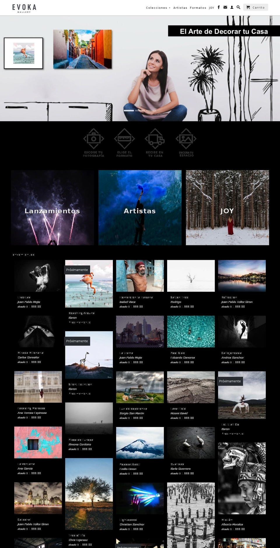 evokagallery.com shopify website screenshot