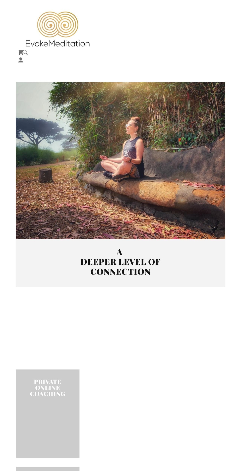 evokemeditation.com — Shopify storefront screenshot